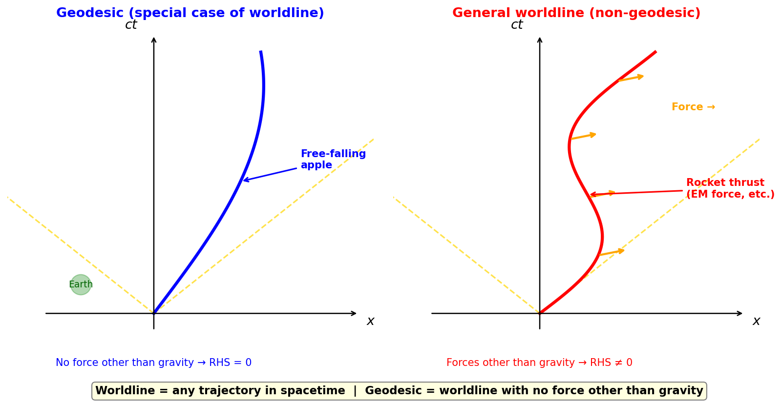 Distinction between world lines and geodesics