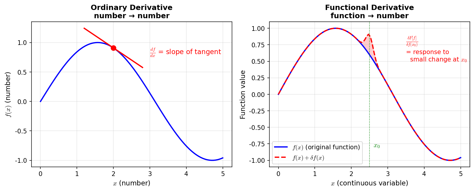 Comparison of ordinary derivatives and functional derivatives