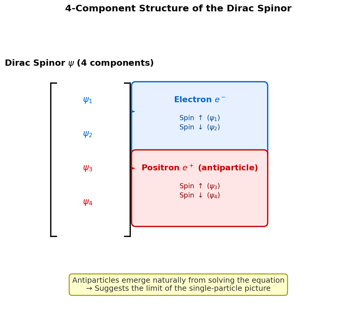 The 4-component structure of the Dirac spinor