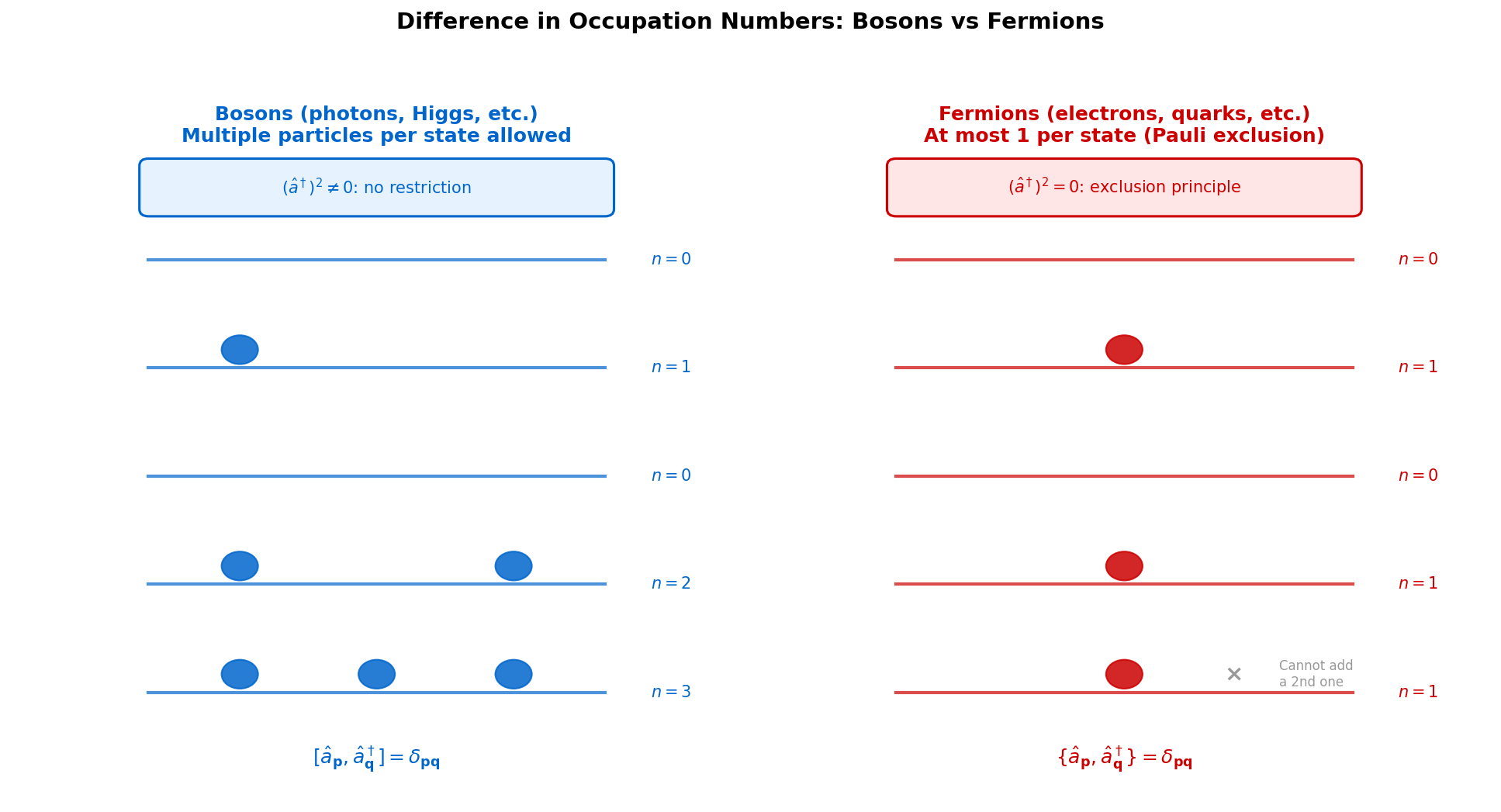 Difference in occupation numbers between bosons and fermions