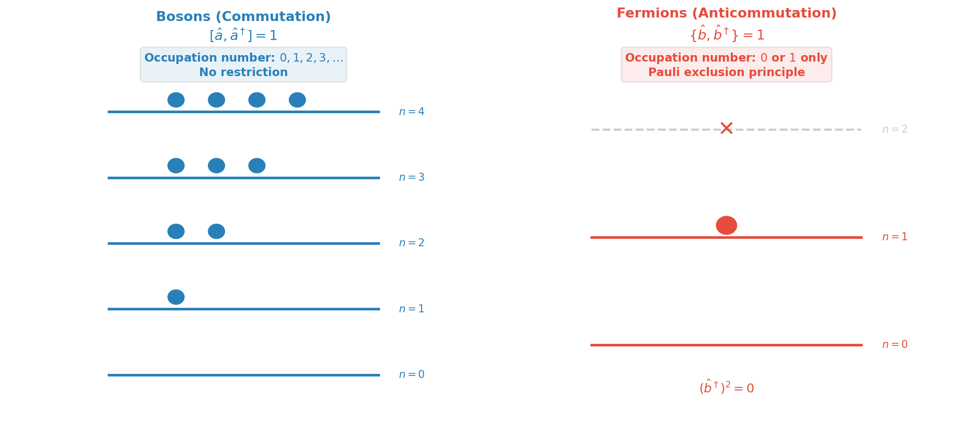 Comparison of occupation numbers between commutation and anticommutation relations