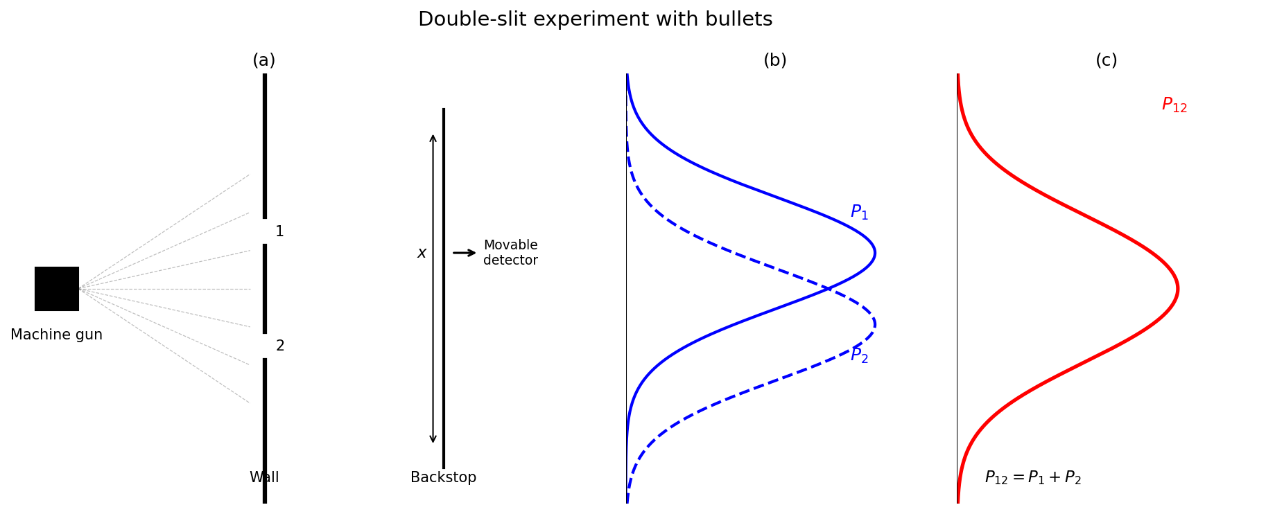 Conceptual diagram of the bullet double-slit experiment