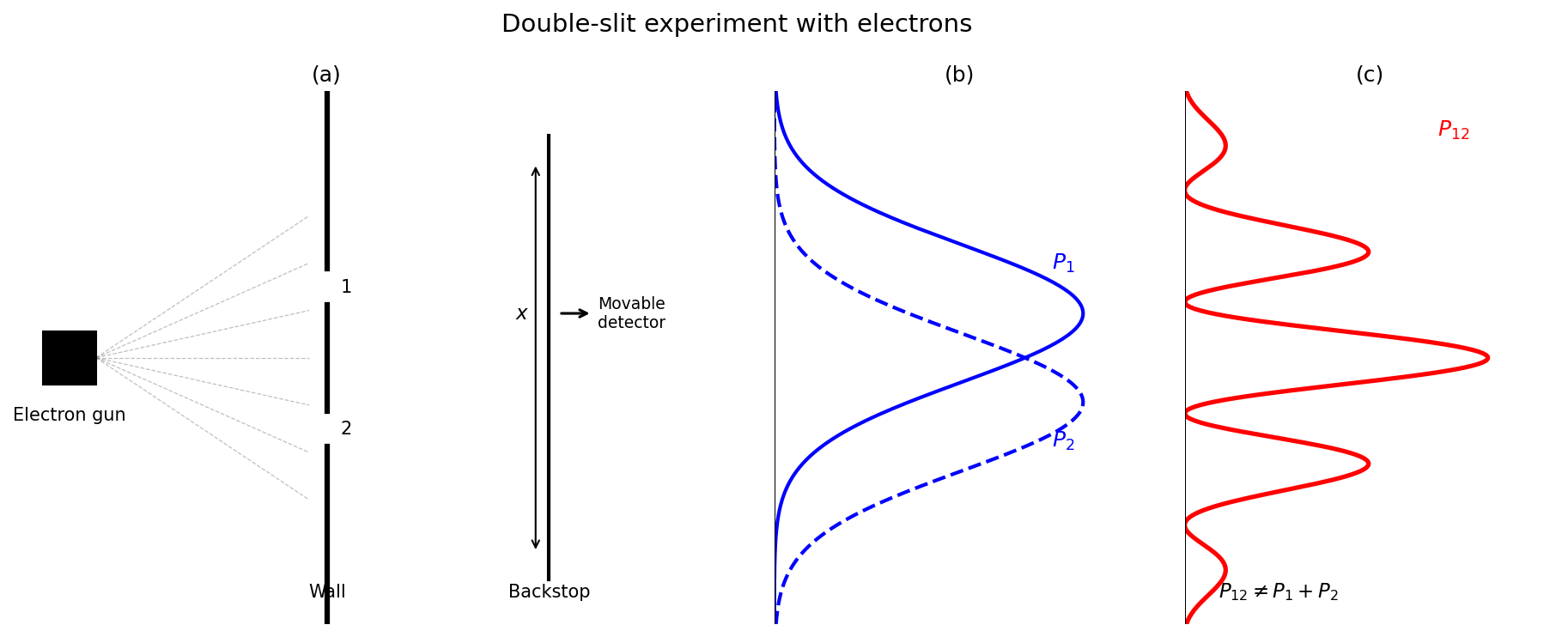 Conceptual diagram of the electron double-slit experiment