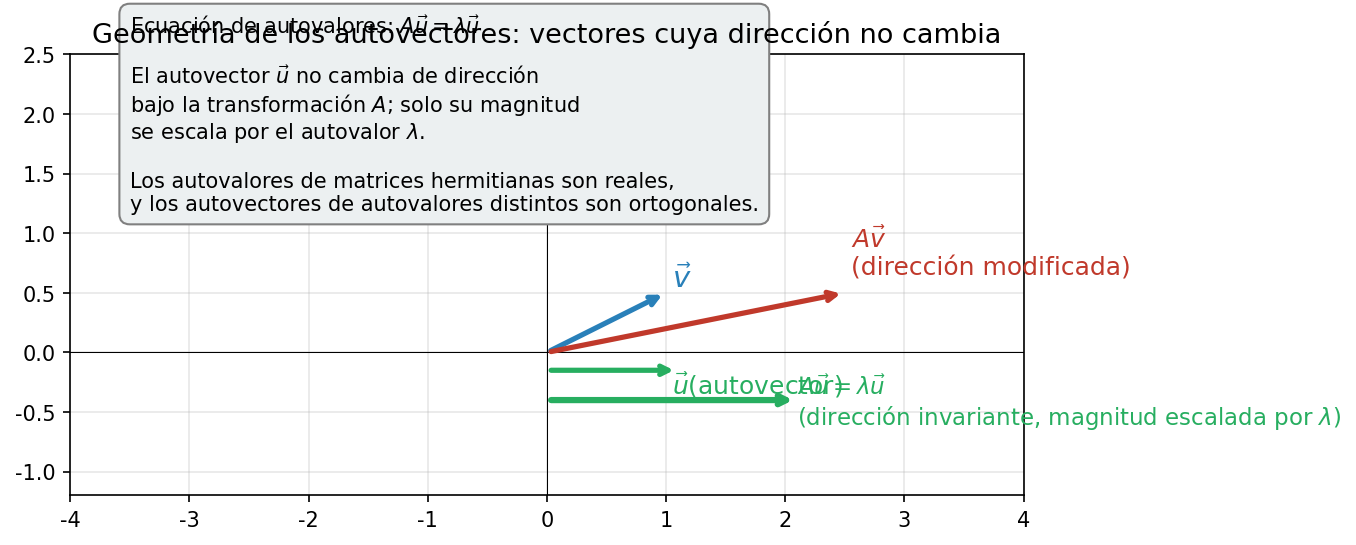 Significado geométrico del vector propio en una transformación lineal