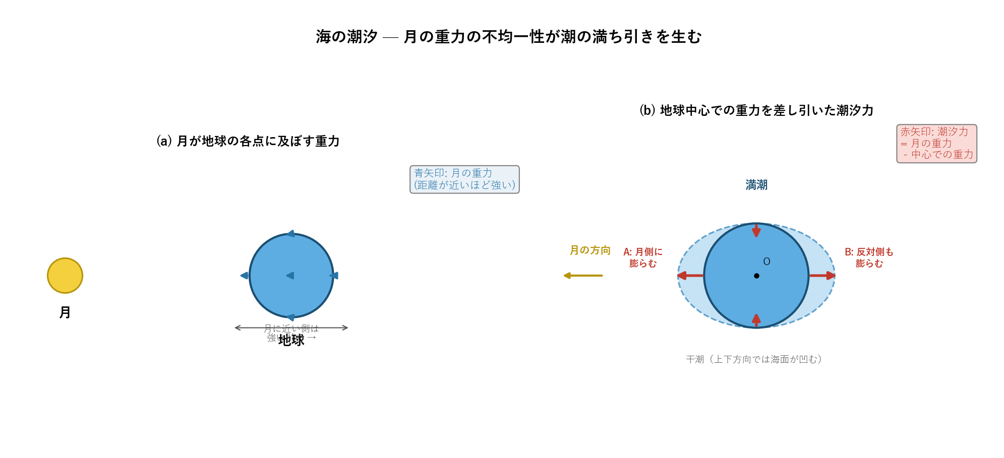月の重力不均一性と海の潮汐