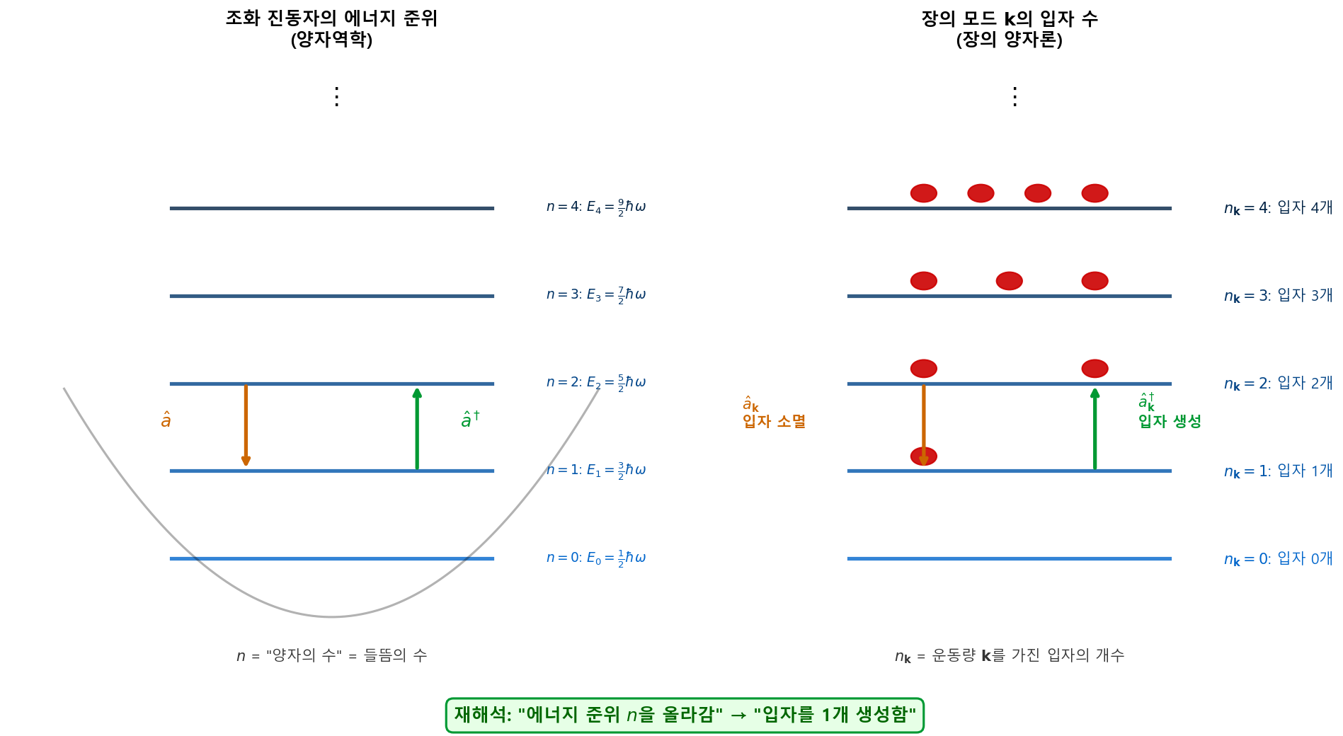 조화진동자와 장의 입자수의 대응