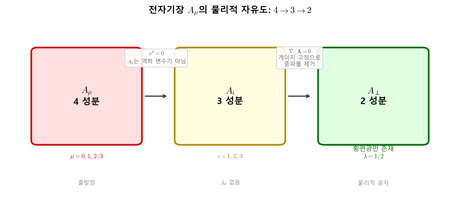 전자기장의 물리적 자유도